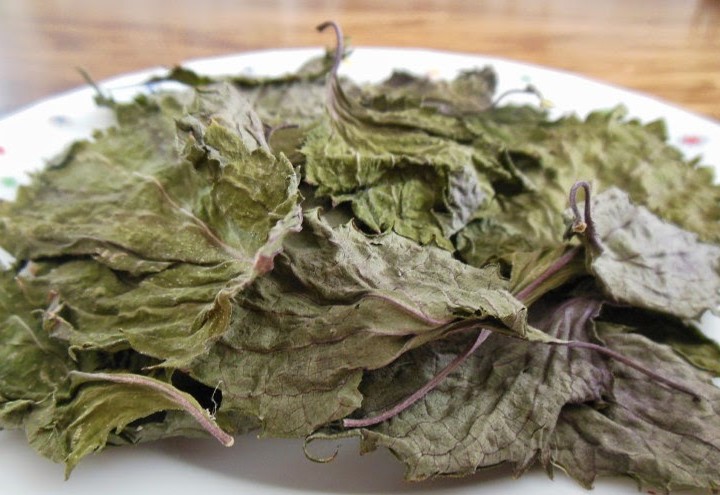 中醫角度看「新冠肺炎」 防疫要健肺排毒