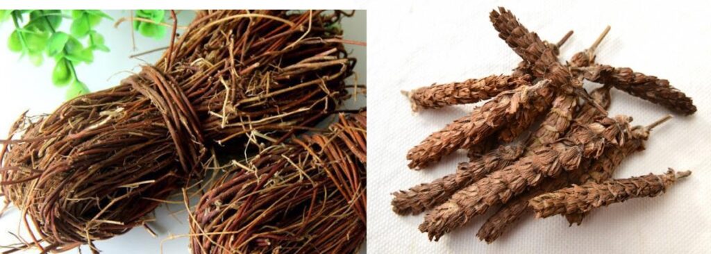 雞骨草                                                                  夏枯草