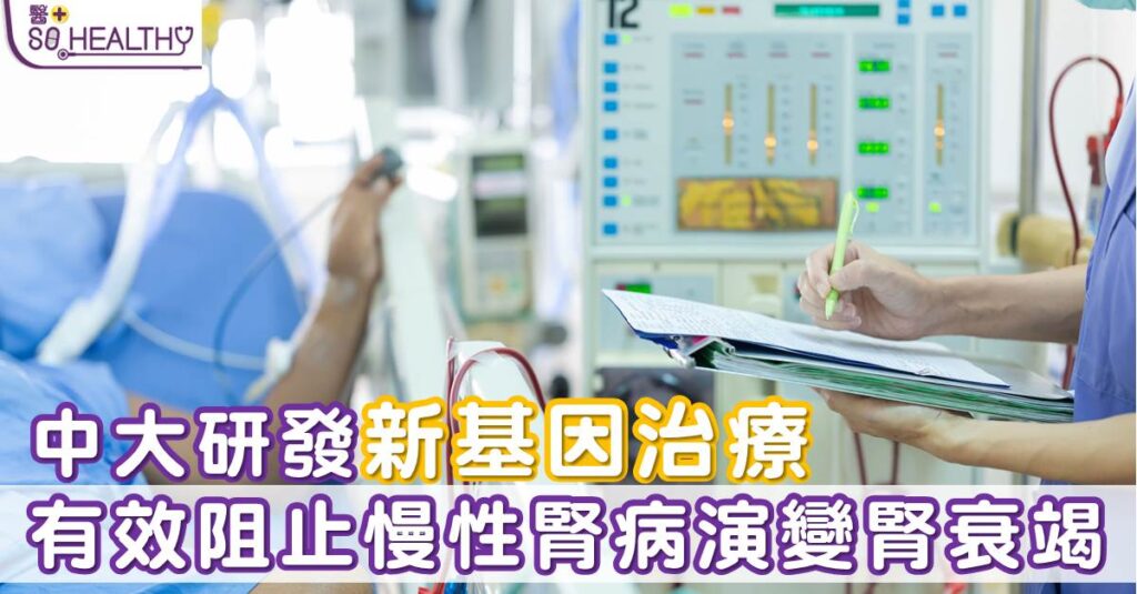 一種創新的無病毒基因治療方法，能透過它精確地抑制腎臟組織中的Pou4f1基因表達，或於將來發展出一個嶄新、有效及安全的腎病治療方案。