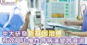 一種創新的無病毒基因治療方法，能透過它精確地抑制腎臟組織中的Pou4f1基因表達，或於將來發展出一個嶄新、有效及安全的腎病治療方案。