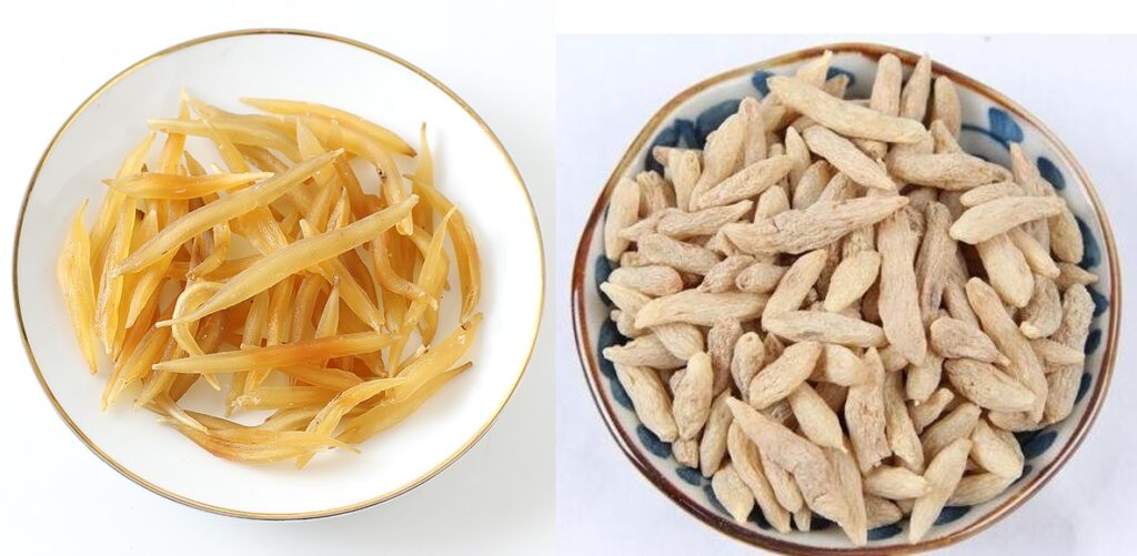 天冬 (左) 配搭麥冬 (右) 可養陰潤肺，益胃生津，清心除煩。