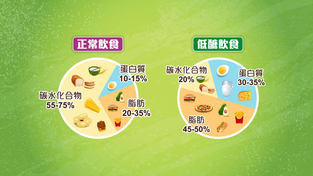 正常飲食與低醣飲食的營養攝取比較