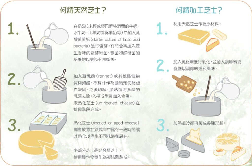 如何分辨天然芝士 與加工芝士。