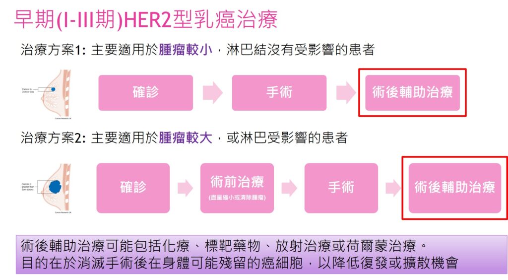 早期(I-III期)HER2型乳癌治療流程。
