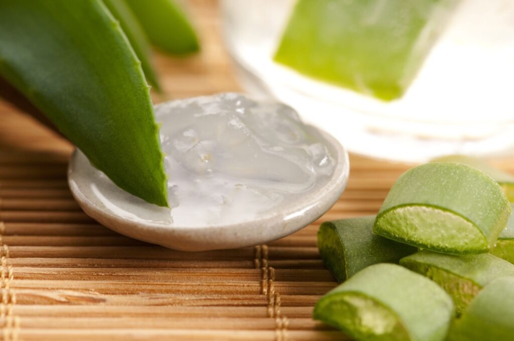 曬傷後用新鮮蘆薈敷臉有感染風險。