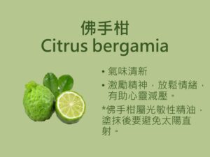 5成港人曾受失眠之苦 香薰助眠原來不止薰衣草