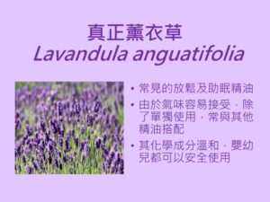 5成港人曾受失眠之苦 香薰助眠原來不止薰衣草