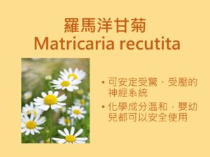 5成港人曾受失眠之苦 香薰助眠原來不止薰衣草