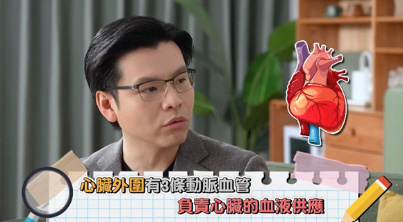 ▲3條主要血管分別是左前降支、左迴旋支和右冠狀動脈。