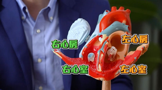 「中‧醫對決」Ben Sir挑戰醫生心臟常識？！