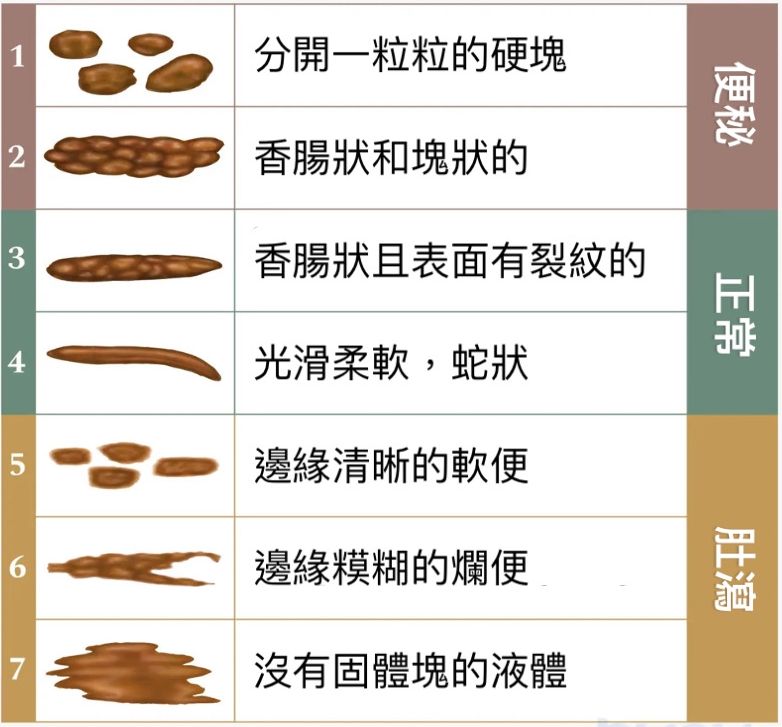 　判斷自己是否便秘，可觀察便便形狀。