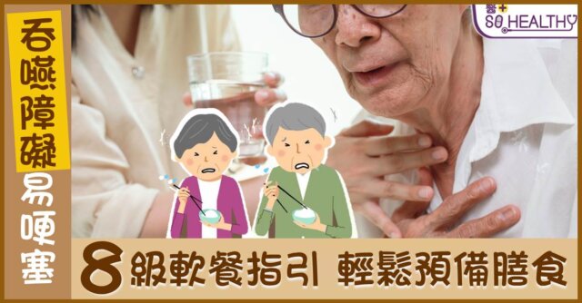 IDDSI 軟餐指引分8級