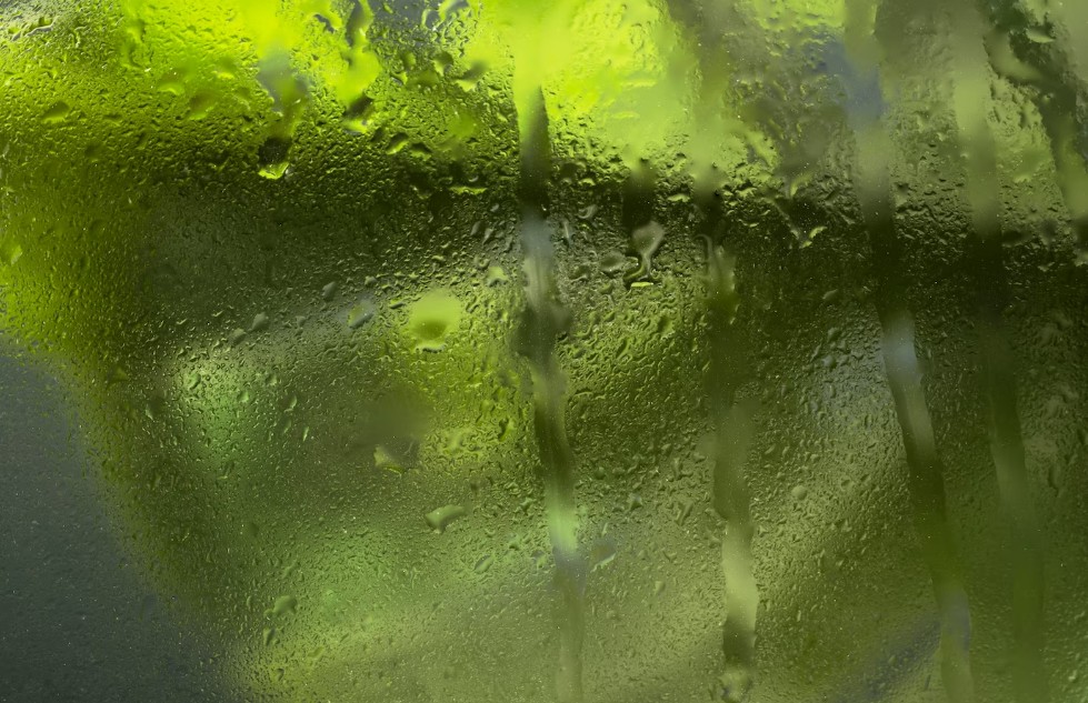 回南天盡量不要開窗